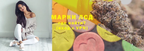 ПСИЛОЦИБИНОВЫЕ ГРИБЫ Армянск