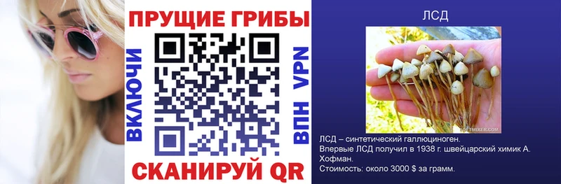 Галлюциногенные грибы ЛСД  как найти закладки  KRAKEN как зайти  дарк нет какой сайт  Мышкин 